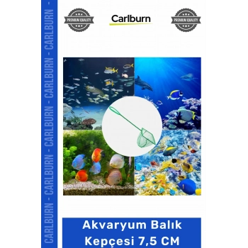 Özel Üretim Paslanmaz Dayanıklı İnce Gözenekli Yumuşak Fileli Sağlam Akvaryum Balık Kepçesi 7.5 CM