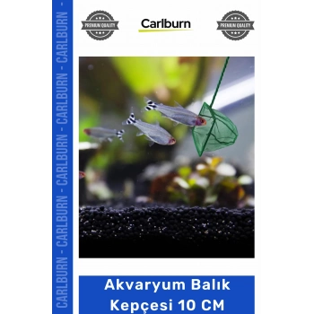Özel Üretim Kaliteli Dayanıklı İnce Gözenekli Akvaryum Aksesuarları Akvaryum Balık Kepçesi 10 CM