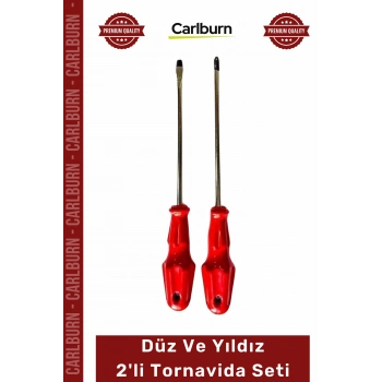 Özel Üretim Dayanıklı Kaliteli Çelik Profesyonel El Aleti 5x100 Düz Yıldız 2li Tornavida Seti