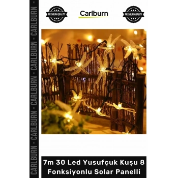 Özel Üretim Gün Işığı Bahçe Dekoratif Dış Mekan 7m 30 Led Yusufçuk Kuşu 8 Fonksiyonlu Solar Panelli