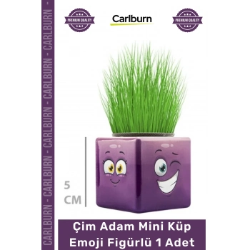 #ÇimAdam Hediyelik Eğitici Doğal Oyuncak Dekoratif Tasarım Çim Adam Mini Küp Emoji Figürlü 1 Adet