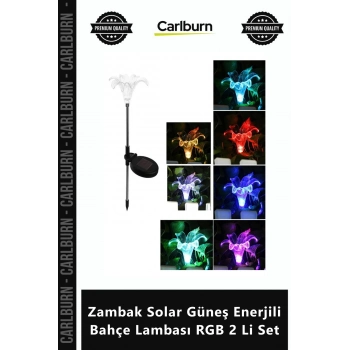 Özel Üretim Dekoratif Dış Mekan Solar Armatür Zambak Solar Güneş Enerjili Bahçe Lambası RGB 2 Li Set