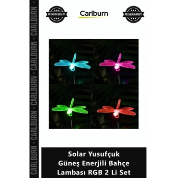 Özel Üretim Dekoratif Su Geçirmez Sensörlü Solar Yusufçuk Güneş Enerjili Bahçe Lambası RGB 2 Li Set