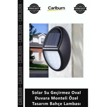 Özel Üretim 10 Ledli Dış Mekan Solar Su Geçirmez Oval Duvara Monteli Özel Tasarım Bahçe Lambası