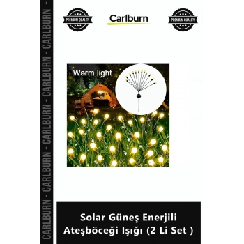 Özel Üretim Bahçe Dekoratif Peyzaj Aydınlatma Solar Güneş Enerjili Ateşböceği Işığı 2 Li Set