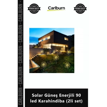 Özel Üretim Havaifişek Dekorasyon Bahçe Günışığı Solar Güneş Enerjili 90 led Karahindiba 2li set