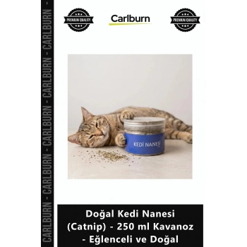 Özel Üretim Saf Etkili Rahatlatıcı Doğal Kedi Nanesi Catnip 250 ml Kavanoz Eğlenceli Doğal