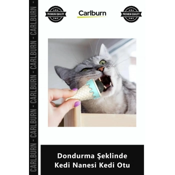 Özel Üretim Duvar Tipi Yapışkanlı Dönebilen Isırma Oyuncağı Dondurma Şeklinde Kedi Nanesi Kedi Otu