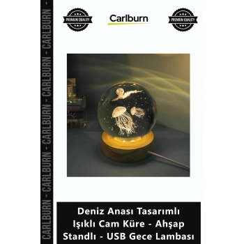 Özel Üretim Modern Hediye Deniz Anası Tasarımlı Işıklı Cam Küre Ahşap Standlı USB Gece Lambası