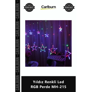 Özel Üretim Dekoratif Animasyonlu 25x1 Metre Eklenebilir 8 Modlu Yıldız Renkli Led RGB Perde MH215