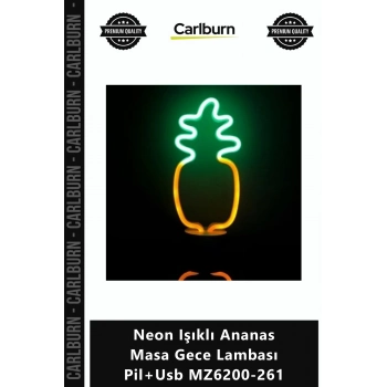 Özel Üretim Dekoratif Modern Şık Aydınlatma Neon Işıklı Ananas Masa Gece Lambası Pil+Usb MZ6200261