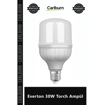 Özel Üretim Tasarruflu LED Beyaz Işık E27 Duy Yüksek Lümen Güçlü Performans Everton 30W Torch Ampül