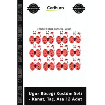 Özel Üretim Parti Eğlence Etkinlik Toptan Çocuk Uğur Böceği Kostüm Seti Kanat Taç Asa 12 Adet
