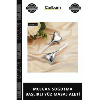 Özel Üretim Cilt Bakımı Canlandırıcı Güzellik Metal Soğuk MUJGAN SOĞUTMA BAŞLIKLI YÜZ MASAJ ALETİ