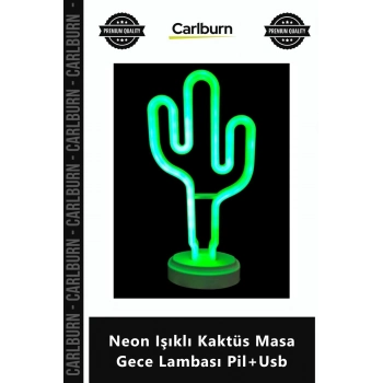 Özel Üretim Dekoratif Modern Estetik Masaüstü Tasarım Neon Işıklı Kaktüs Masa Gece Lambası Pil+Usb