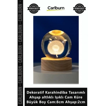 Özel Üretim Dekoratif Karahindiba Tasarımlı Ahşap altlıklı Işıklı Cam Küre Büyük Boy Cam8cm Ahşap2cm