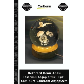Özel Üretim Hediye Dekoratif Deniz Anası Tasarımlı Ahşap altlıklı Işıklı Cam Küre Cam6cm Ahşap2cm