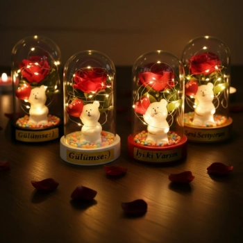 #Fanus Sevimli Ayıcık Figürlü Romantik Hediyelik Dekoratif Gün Işığı Balonlu Ayıcık Ledli Gül Fanus