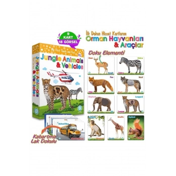 Özel Üretim Görsel Algı Eğlenceli Öğrenme Hisset Orman Hayvanları Ve Araçlar Eğitim Kartları