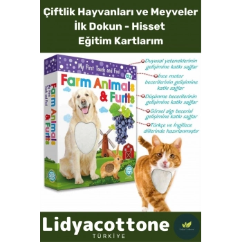 Premium I?nce Motor Gelişimi Görsel Algı Öğrenme Dokun Hisset Çiftlik Hayvanları Ve Meyveler