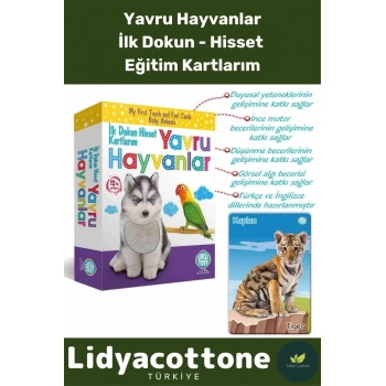 Premium İnce Motor Gelişimi Görsel Algı Eğlenceli Eğitim Kartları Dokun Hisset Tanı Yavru Hayvanlar