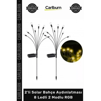 #Solar Dış Mekan Dekoratif Peyzaj Su Geçirmez 2li Solar Bahçe Aydınlatması 8 Ledli 2 Modlu RGB