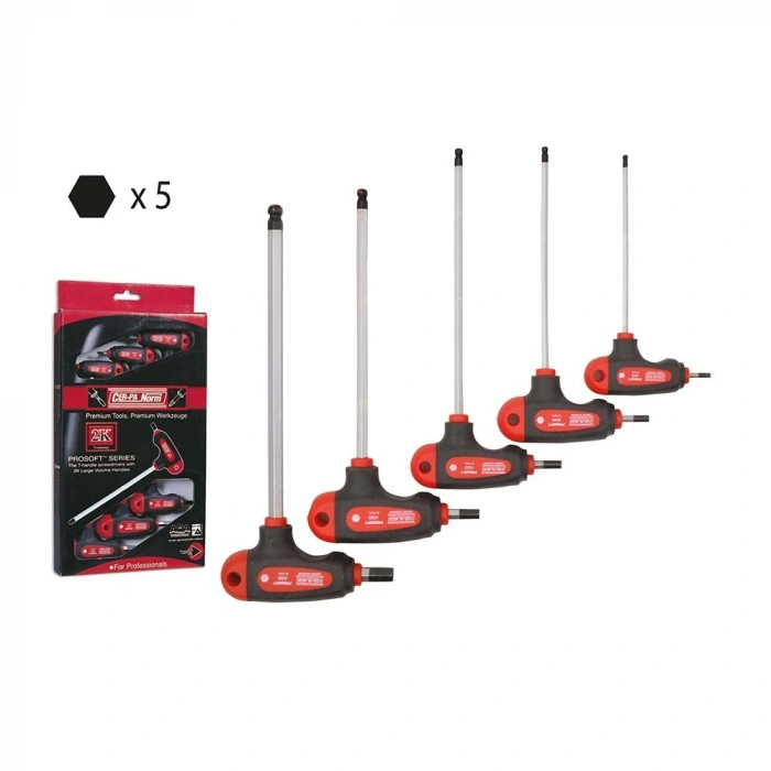 CER-PA T TİPİ TORX ALLEN ANAHTAR TAKIMI 6 PARÇA