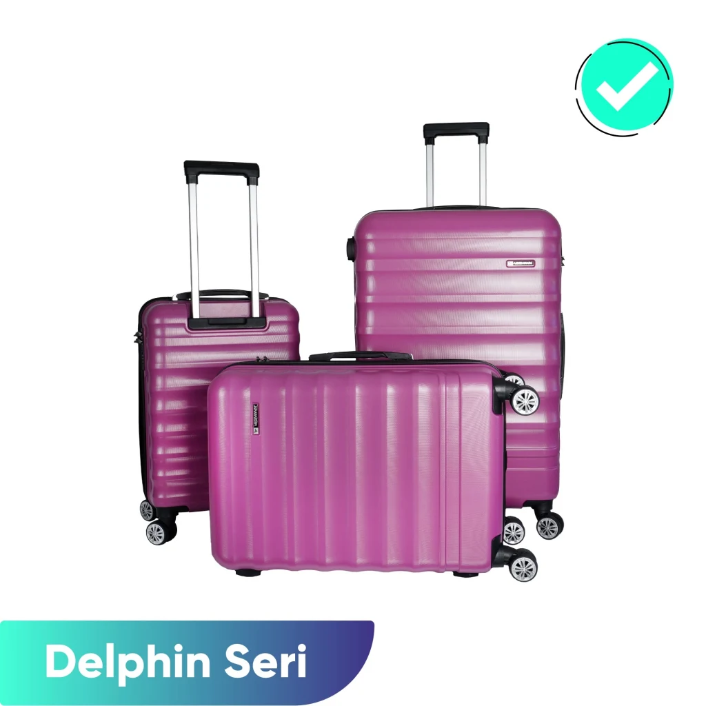 Vegmann Delphin Violet 3 lü Valiz seti
