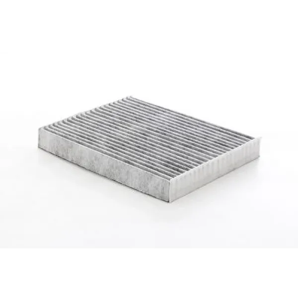 Ford Kuga 1.5 EcoBoost 2022- Karbonlu Polen Filtresi - BSG