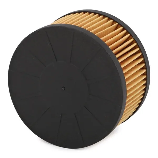 Renault Clio 5 1.0 Tce 2020- Yağ Filtresi - FEBI