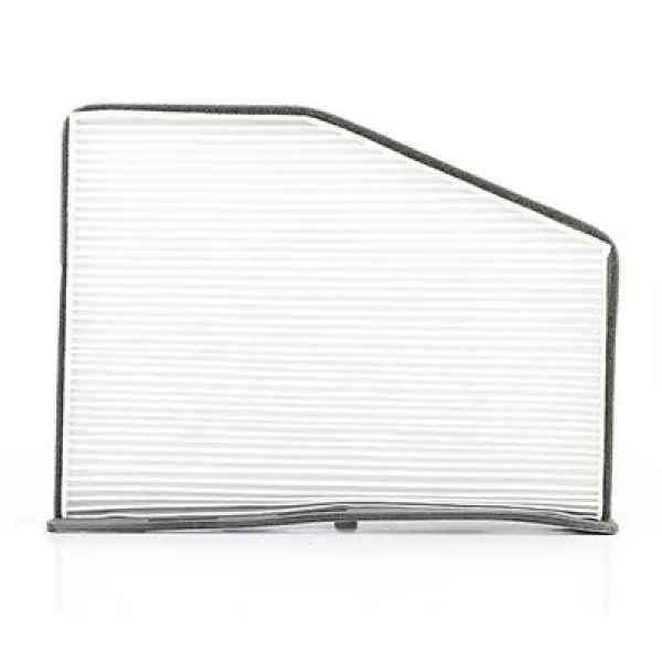 Volkswagen Caddy 1.6 TDi 2010-2015 Polen Filtresi - BSG