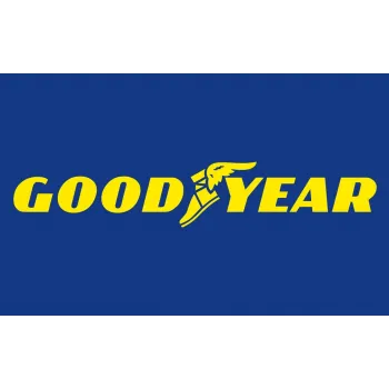 Fiat Egea Cross 1.3 Multijet Euro 6 2020- Hava Filtresi - GOODYEAR
