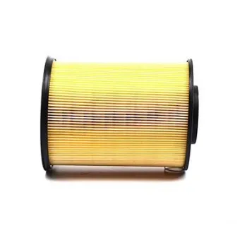 Ford Focus 3 1.6 TDCi 2011-2020 Hava Filtresi - BSG