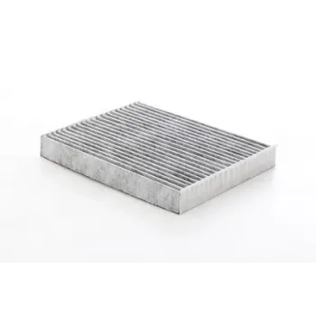 Ford Kuga 1.5 EcoBoost 2022- Karbonlu Polen Filtresi - BSG