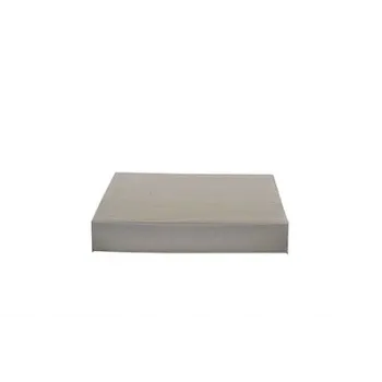 Ford Mondeo 1.6 TDCi 2011-2015 Polen Filtresi - BSG