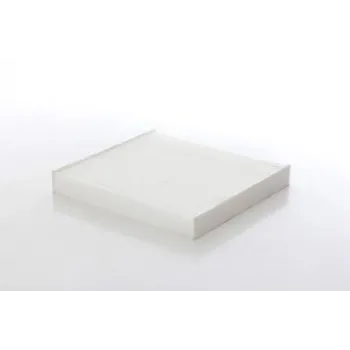 Honda Civic 1.6 2006-2016 Polen Filtresi - BSG