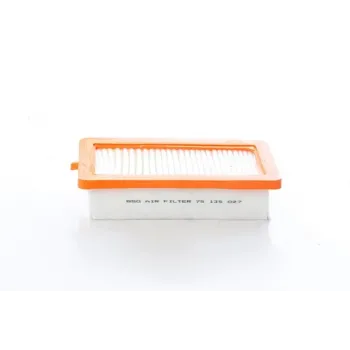 Renault Clio 5 1.0 Tce 2020- Hava Filtresi - BSG (1.Tip)