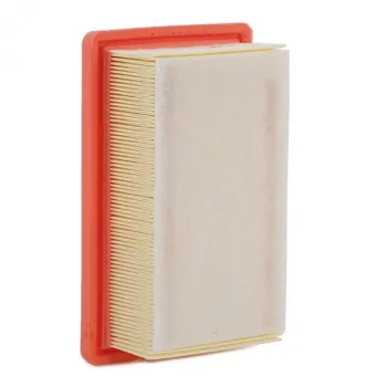 Renault Clio 5 1.0 Tce 2020- Hava Filtresi - BSG (2.Tip)