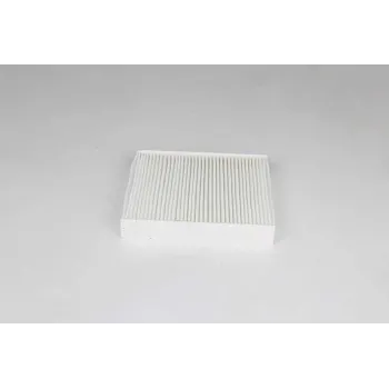 Renault Clio 5 1.0 Tce 2020- Polen Filtresi - BSG