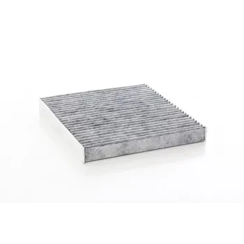 Seat Leon 1.0 eTsi Dsg 2021- Karbonlu Polen Filtresi - BSG