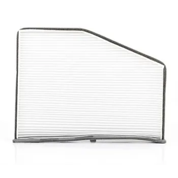 Volkswagen Caddy 1.6 TDi 2010-2015 Polen Filtresi - BSG