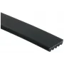 GATES | V Kayısı Mondeo 1.8 D 93-