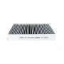 Ford Focus 3 1.6 TDCi 2011-2020 Karbonlu Polen Filtresi - BSG