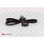 Ford Focus 3 1.6 TDCi 2011-2020 Triger Seti - EUROREPAR