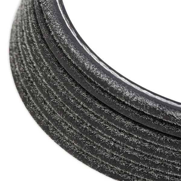 DAYCO | V Kayısı Transıt V-184 2.4 D 01-