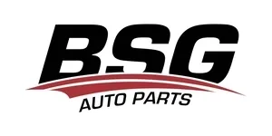 BSG