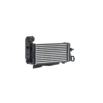 OE-FD | Turbo Radyatörü Focus 1.6 D 11-