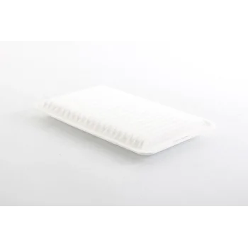 Mazda 3 1.6 2003-2013 Hava Filtresi - BSG