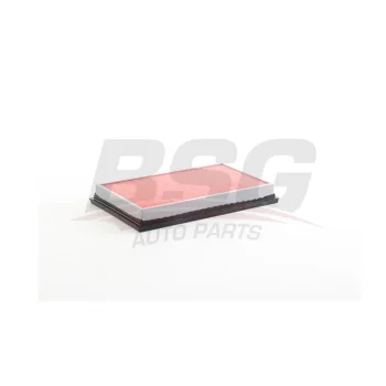 Nissan Primera 1.6 2002-2008 Hava Filtresi - BSG