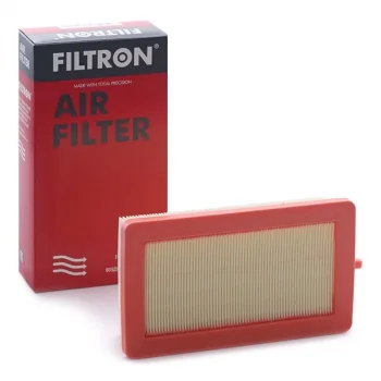 Renault Clio 5 1.0 Tce 2020- Hava Filtresi - FILTRON (1.Tip)